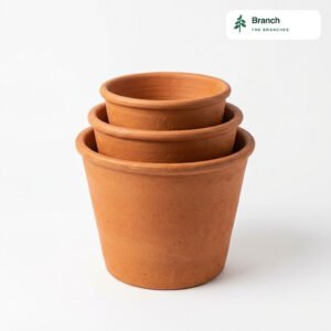 Terracotta Pot Trio (4/6/8")